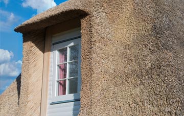 Portuairk thatch roof disadvantages